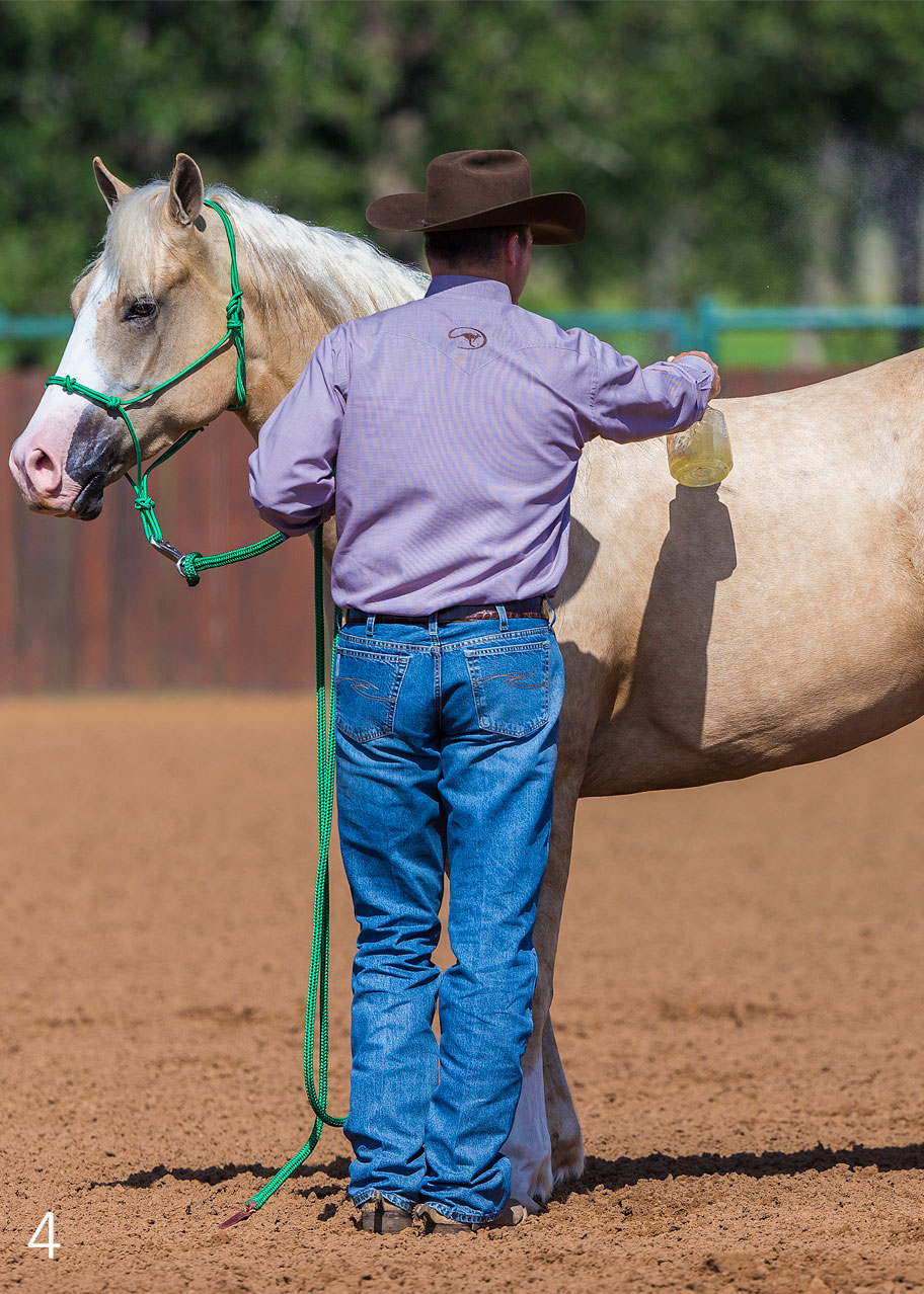 Proper Application of Fly Spray