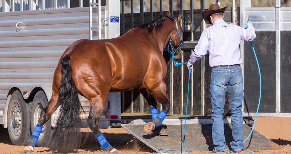 Horse will rush to other side of trailer.
