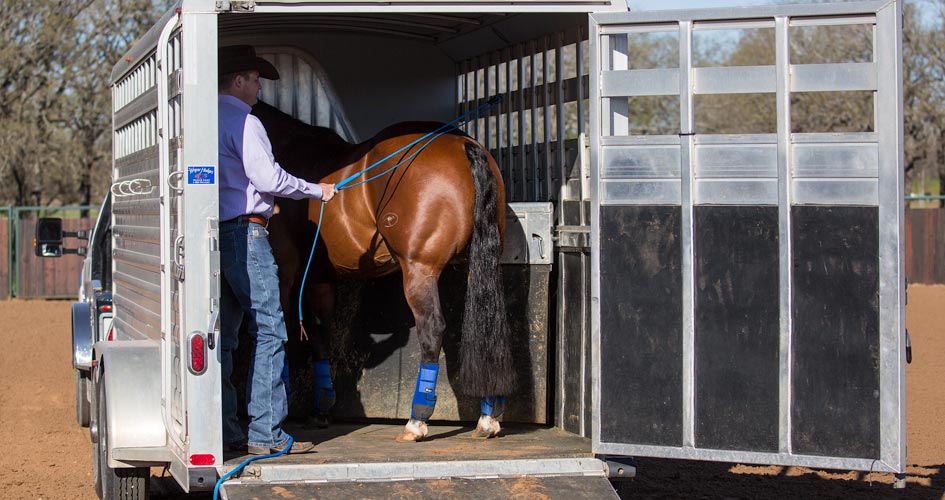 Load horse onto trailer.