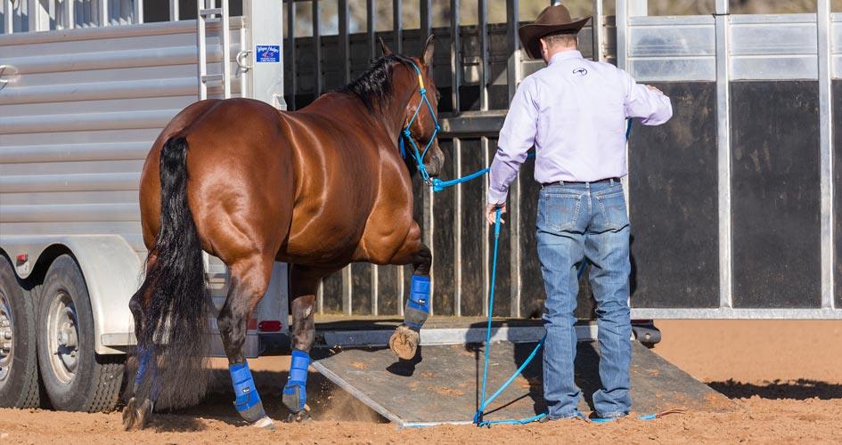 Lower the Horse Trailer Ramp