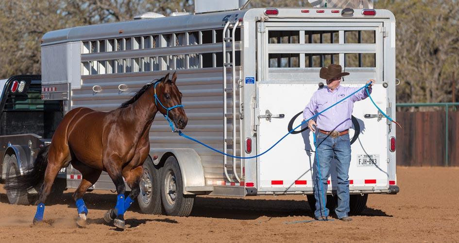 Test your control over the horse's feet.