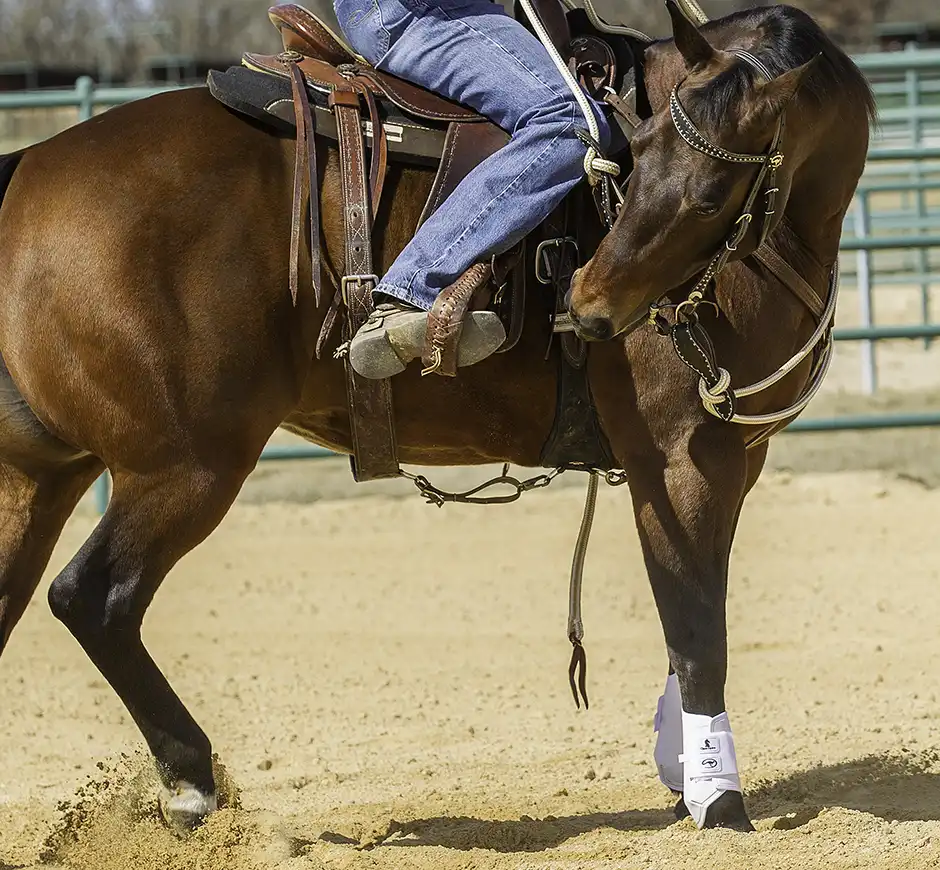 Press horse's side with your calf.