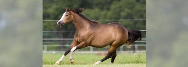 Clinton-Anderson-Presents_Breaking-the-Silence