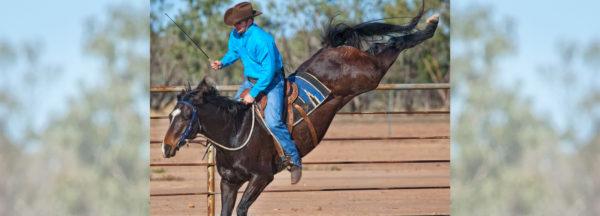 How-to-Reform-a-Bucker