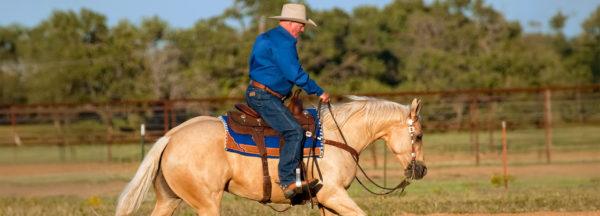 lessons-learned-from-Ian-aka-mr-versatility